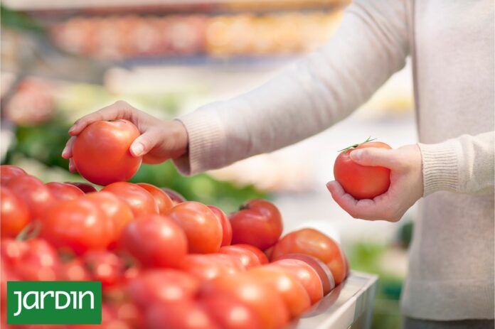 Por qué los tomates actuales tienen menos sabor que antes