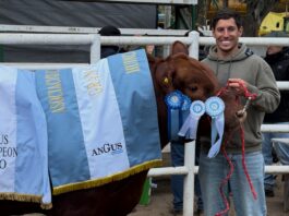 Nicolás Cavigliasso, campeón del Dakar, logró el Gran Campeón Macho Angus: “Tengo dos pasiones”