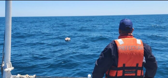 Santa Teresita: buscan a dos kayakistas en medio de malas condiciones climáticas