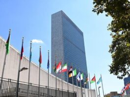 Intensa actividad de Lula y Delcy Rodríguez antes de la Asamblea General de la ONU