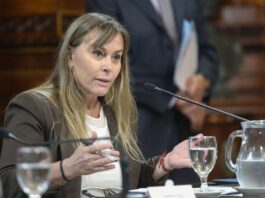 El bloque justicialista propone derogar el artículo 154 del DNU 70/23 y restituir la Ley de Tierras