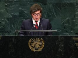 Encuestas: Milei recuperó protagonismo con el reclamo por Malvinas, pero no logró sumar apoyos