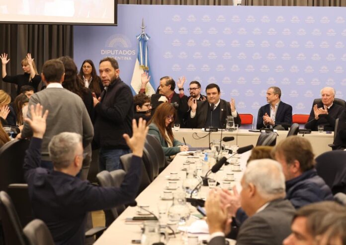 Discapacidad: el Gobierno dio marcha atrás y consiguió un dictamen, pero persiste la desconfianza por el proyecto