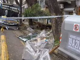 Un colectivo se subió a la vereda, atropelló a dos mujeres y chocó contra un árbol en Palermo: al menos 4 heridos