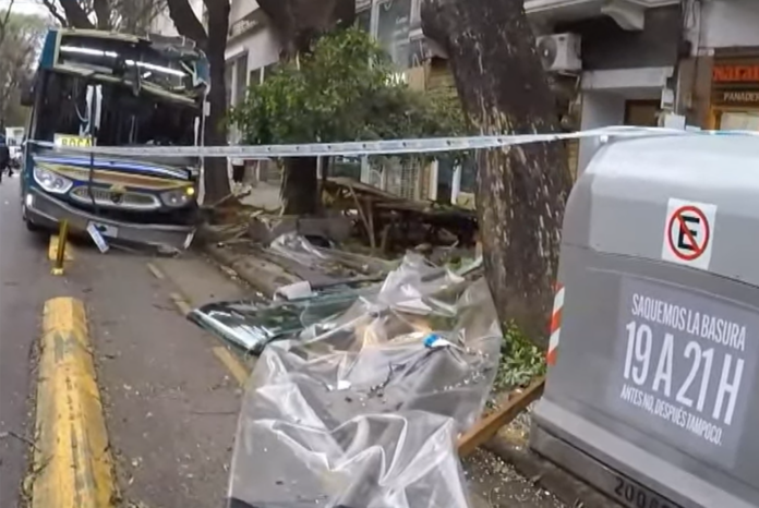 Un colectivo se subió a la vereda, atropelló a dos mujeres y chocó contra un árbol en Palermo: al menos 4 heridos