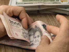 Plazo fijo: cuál es la tasa de interés banco por banco este viernes 18 de septiembre