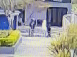 Las imágenes del ataque a piedrazos que terminó con la muerte de un joven a la salida de un boliche en Ezeiza