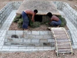 Cavaron un pozo en plena selva para construir una casa secreta rodeada por una pileta
