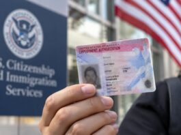 Permiso de trabajo EAD: las cuatro categorías que E-Verify comenzó a revisar y pueden afectar a trabajadores migrantes
