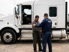 La norma sobre la licencia de conducir y validez en Texas con la que el ICE detiene inmigrantes en carreteras