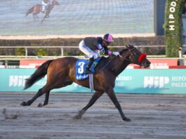 Fletcher dio positivo tras ganar la Polla de Potrillos: se pidieron las imágenes de las cámaras de seguridad en Palermo