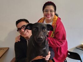 La historia de Sakura: la encontraron con sus cachorros en una plaza de Almagro y su vida dio un giro conmovedor