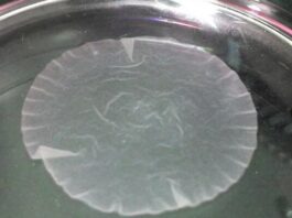 Del Nobel al quirófano: realizan la primera cirugía del mundo con tejido cardíaco creado a partir de células madre