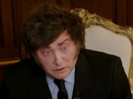 Las principales frases de Milei: Bullrich, críticas a Rubinstein y Prat-Gay, Olivos como “base militar” y la visita de León XIV