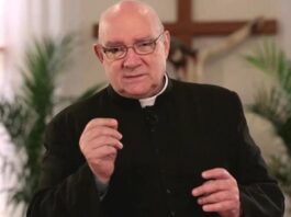 El Vaticano confirmó que un cura argentino fue culpable de abusos a seminaristas y religiosas
