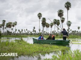 La nueva travesía que une dos paraísos naturales entre humedales, yacarés y cientos de aves