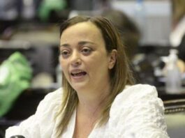 Cecilia Moreau cuestionó la restricción de la Zona Fría y advirtió por un “tarifazo”