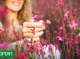 Primavera: el momento exacto para hacer que tu jardín tenga más flores durante todo el verano