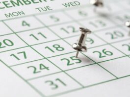 Cuándo es el próximo feriado de noviembre 2026 en la Argentina