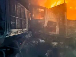 Chocaron dos camiones en la ruta 12 y se prendieron fuego: murió un hombre