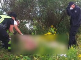 Tragedia: un trabajador rural murió ahogado mientras rescataba vacas de una zona de campos inundados