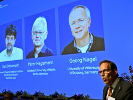 Quién ganó el Premio Nobel de Medicina 2026