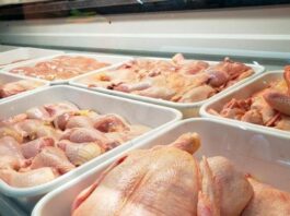 Crisis: el consumo de pollo superó al de carne vacuna por primera vez en la historia