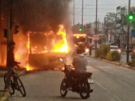 Se incendió un colectivo de la línea 219 en Berazategui y los pasajeros lograron escapar antes de que las llamas lo destruyeran