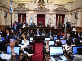 El Senado aprobó un marco regulatorio para proyectos de reducción de emisiones y créditos de carbono