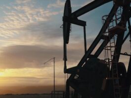 Marcos Bulgheroni consultó a la IEA por el futuro de la demanda de petróleo