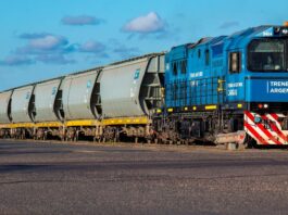Privatización del Belgrano Cargas: la empresa que se bajó de la concesión criticó el modelo que propone el Gobierno