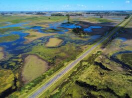 Polémica por una ley que permite usar fondos de los caminos rurales para obras contra las inundaciones