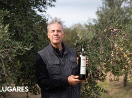 Compraron un olivar abandonado y producen uno de los aceites premiados del país