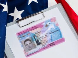 Noticias del DHS: el Uscis confirma cambios para los permisos de trabajo EAD, trámites de parole y TPS