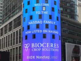 Millones en juego: una jueza de Estados Unidos le abrió una puerta a Bioceres Crop Solutions en una dura disputa con un poderoso fondo