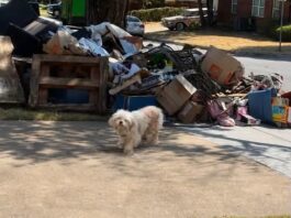 Se mudaron y la abandonaron junto a un montón de basura: “Esperó durante tres días que regresaran por ella”