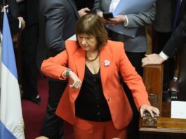 De la hoguera a las encuestas: el estilo de Milei infla las acciones de Patricia Bullrich