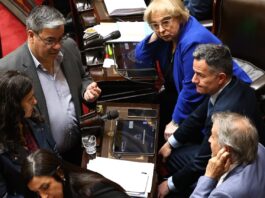 El oficialismo logró el apoyo del peronismo y se encamina a aprobar su proyecto de discapacidad