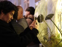 7 recomendados de arte y cultura para esta semana