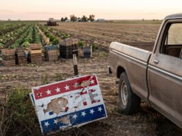 El campo pide que vuelvan los inmigrantes: una nueva encuesta revela que los votantes rurales le dan la espalda a Trump
