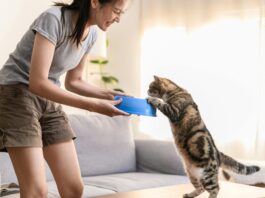 Según la psicología, los que le hablan a las mascotas como si fueran personas tienen una marcada sensibilidad hacia su entorno