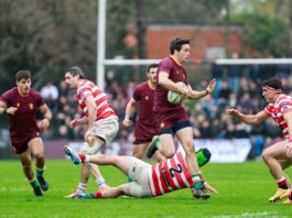 Newman vs. Alumni, en vivo, por las semifinales del Top 14 de URBA: el minuto a minuto del partido