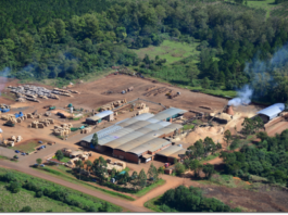 Quebró uno de los aserraderos productores de pallets más grandes del país