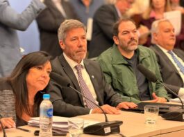 Vandalismo: logró dictamen en Diputados un proyecto que prevé hasta ocho años de prisión por ataques al campo