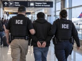 Deportaciones masivas: el sheriff de un condado en Florida recibirá US$9,29 millones para cooperar en redadas del ICE