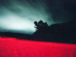 Pinta BAphoto celebra los 200 años de la fotografía en La Rural