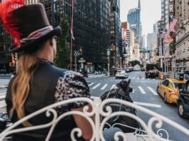 Mamdani lo logró: Nueva York avanza para eliminar carruajes con caballos y los paseos en el Central Park