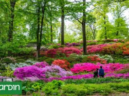 Los siete jardines botánicos que conservan el futuro de las plantas del planeta