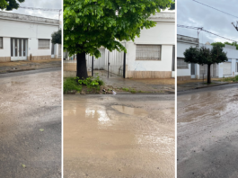 Vecinos del Parque Saavedra denuncias que las calles están destrozadas por el desvío de micros